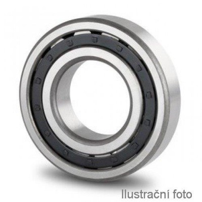 Cylindrical Roller Bearing NJ409 M 45x120x29 mm