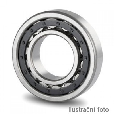 Cylindrical Roller Bearing NU1011 E 55x90x18 mm